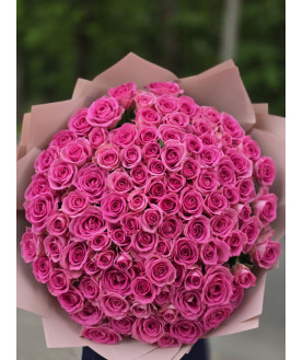 101 rose pink 55 cm 