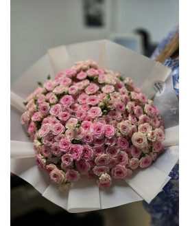 101 pink rose