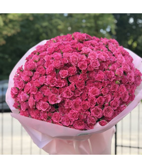 101 pink rose 65 CM